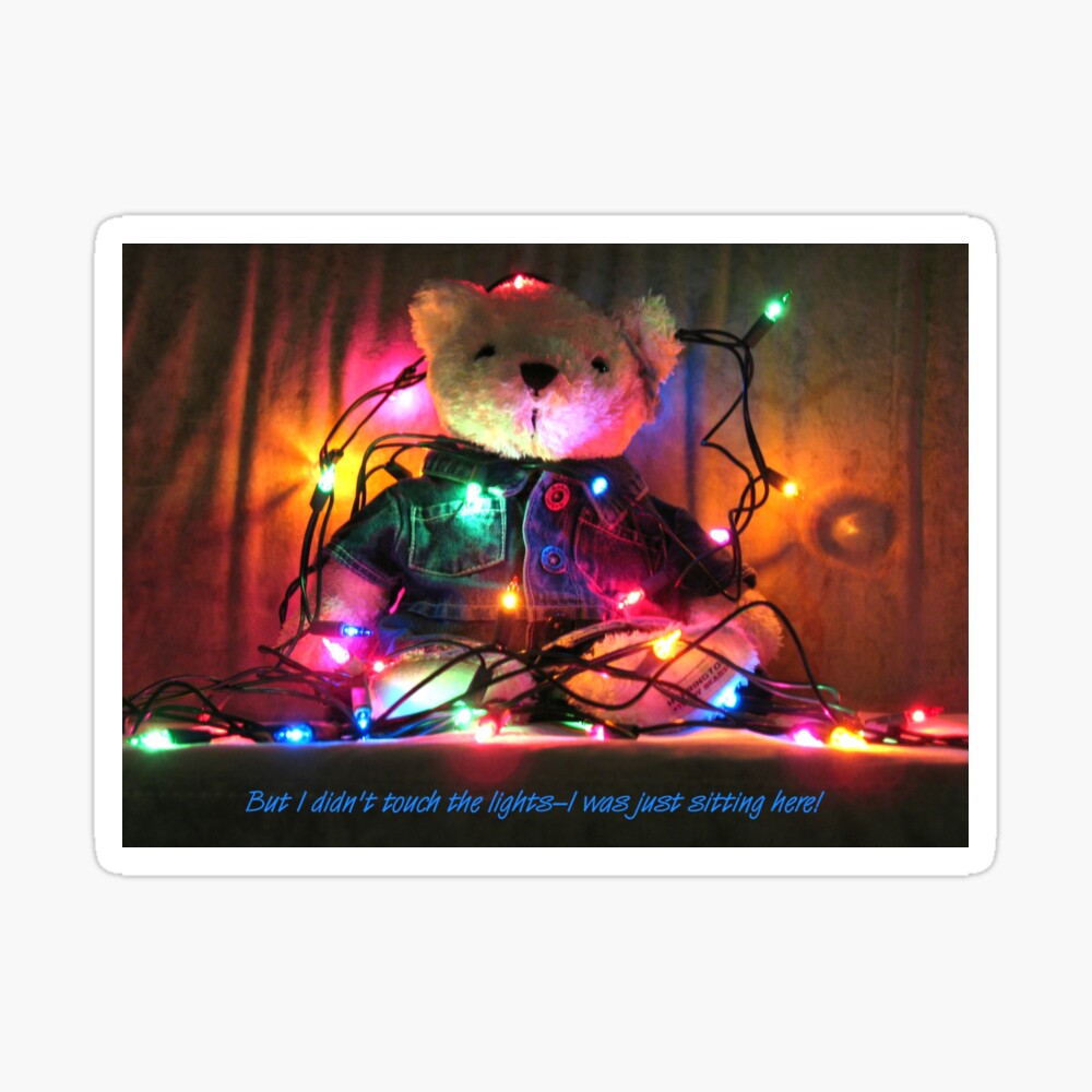 teddy bear christmas lights