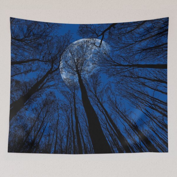 Item preview, Midnight Blue, trees silhouette, dark winter night sky, full moon bloom forest view designed and sold by August-E.