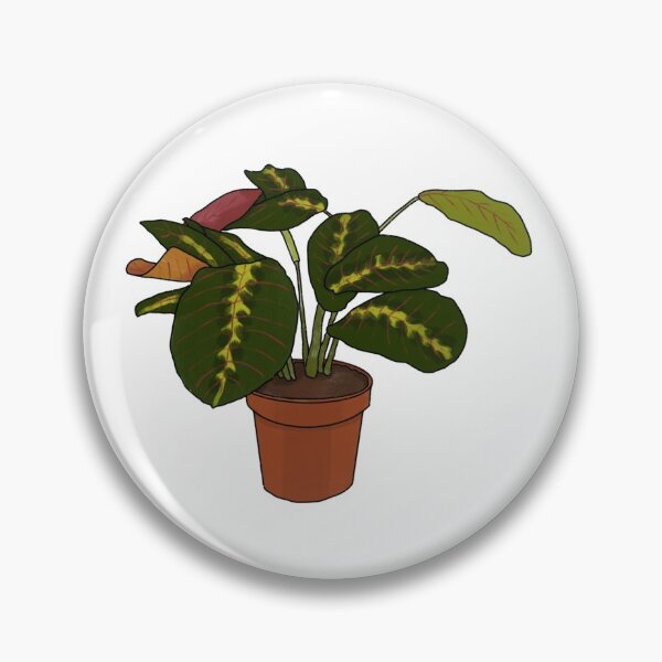 Item preview, Maranta Prayer Plant designed and sold by canadoodle.