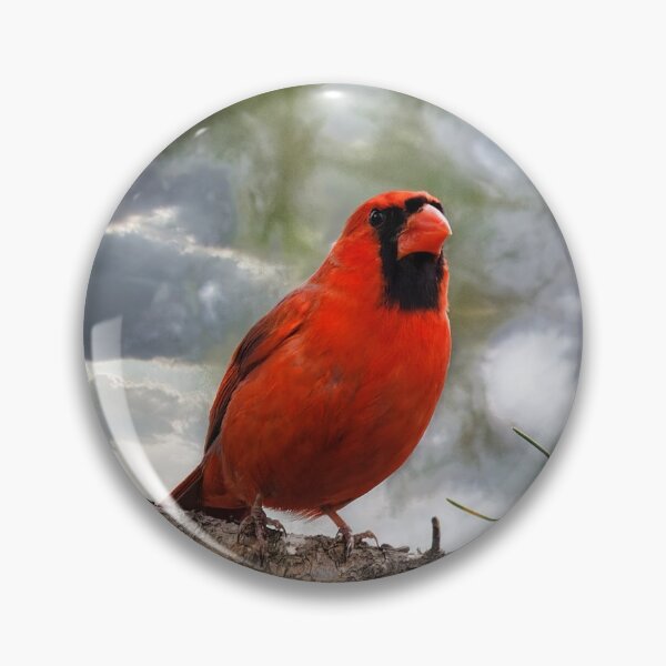 Item preview, Front Yard Cardinal designed and sold by KDartisticeye.