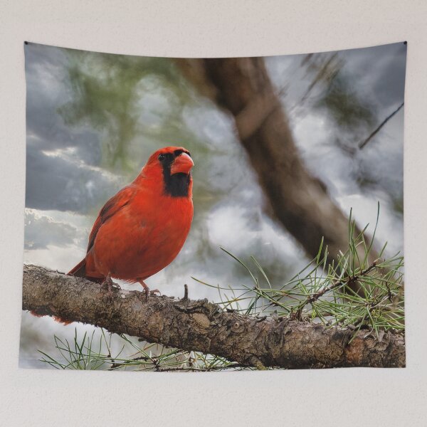 Item preview, Front Yard Cardinal designed and sold by KDartisticeye.