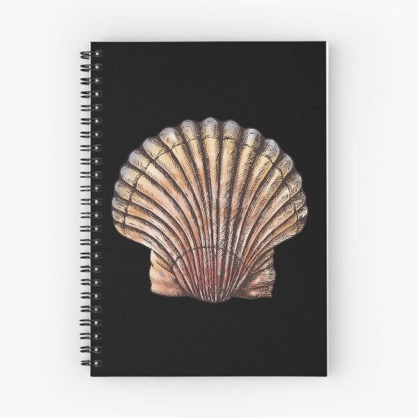 Aperçu de l'œuvre Pétoncle coquillage de palourdes colorées créée et vendue par TheTimeMachine.