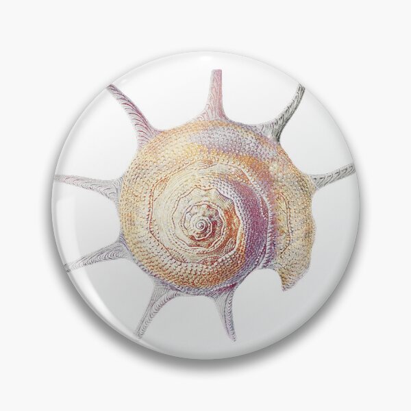 Item preview, Vintage colorful seashell 2 designed and sold by TheTimeMachine.