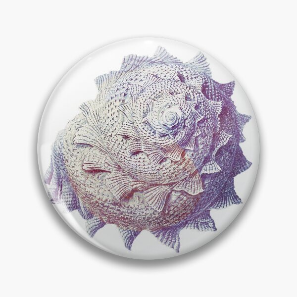 Item preview, Vintage colorful seashell designed and sold by TheTimeMachine.