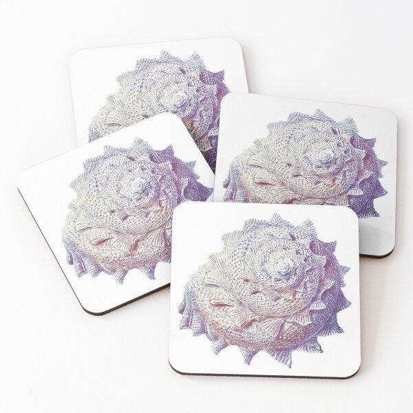Item preview, Vintage colorful seashell designed and sold by TheTimeMachine.