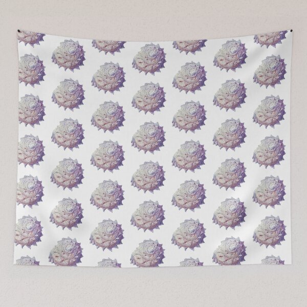 Item preview, Vintage colorful seashell designed and sold by TheTimeMachine.