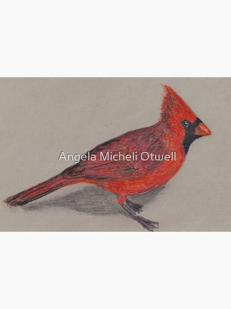 Cardinal by ByFitsAndStarts
