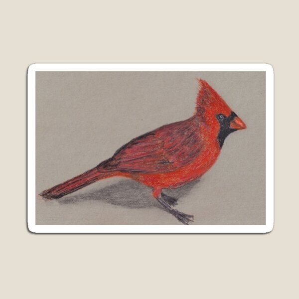 Cardinal Magnet
