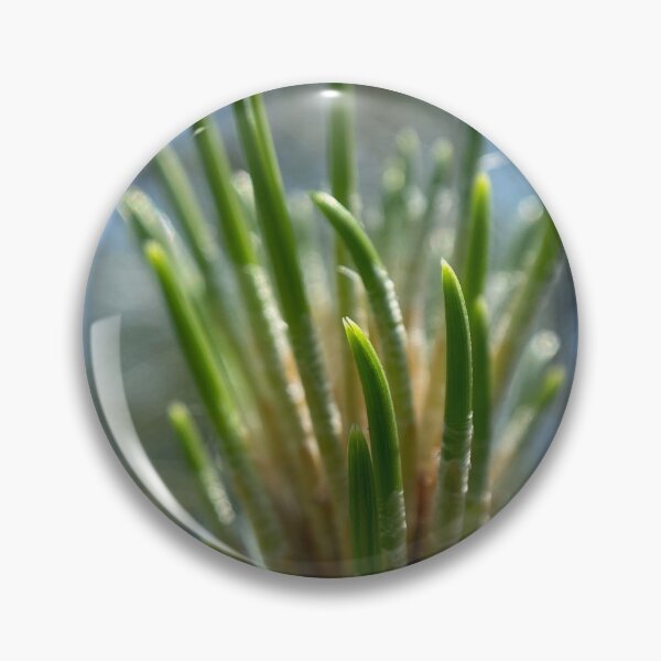 Item preview, Closeup of Budding Plant designed and sold by Sinemathk.