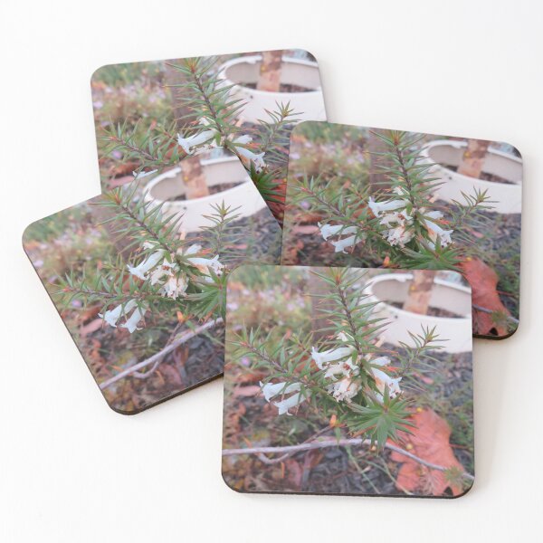 Item preview, White heath flowers designed and sold by greentiger1.