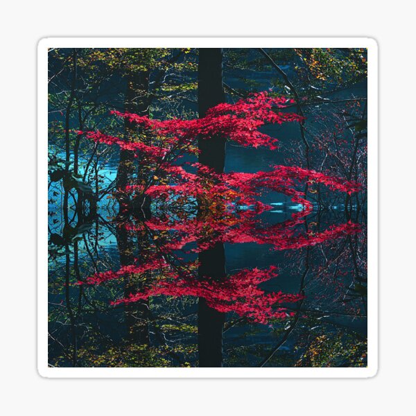 John Tomlin Lake Waters, autumn mirror… Australia Sticker