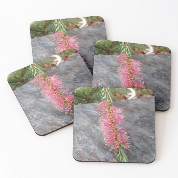 Item preview, Pink bottlebrush flower designed and sold by greentiger1.