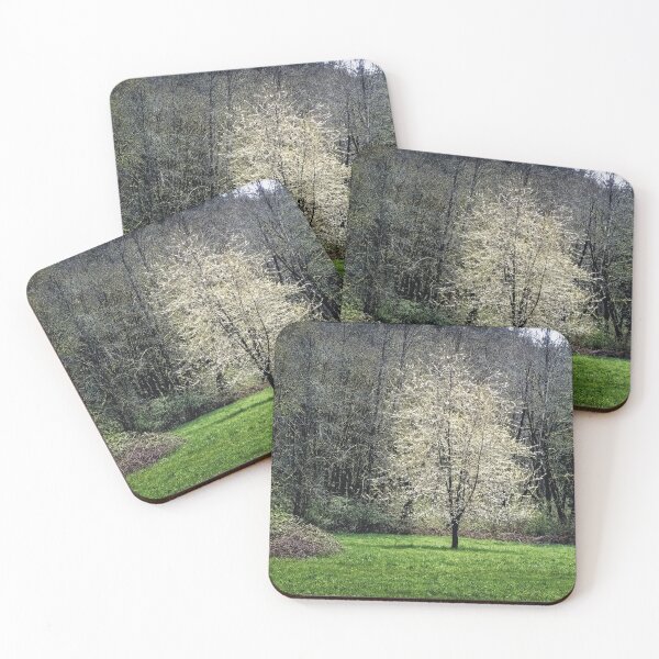 Item preview, Best In Show designed and sold by Steve Walser.