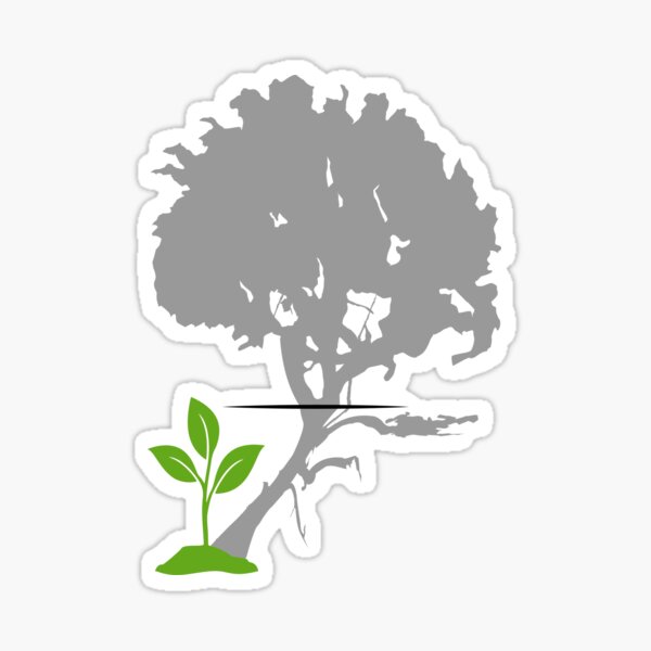Seedling with shadow of old tree Sticker