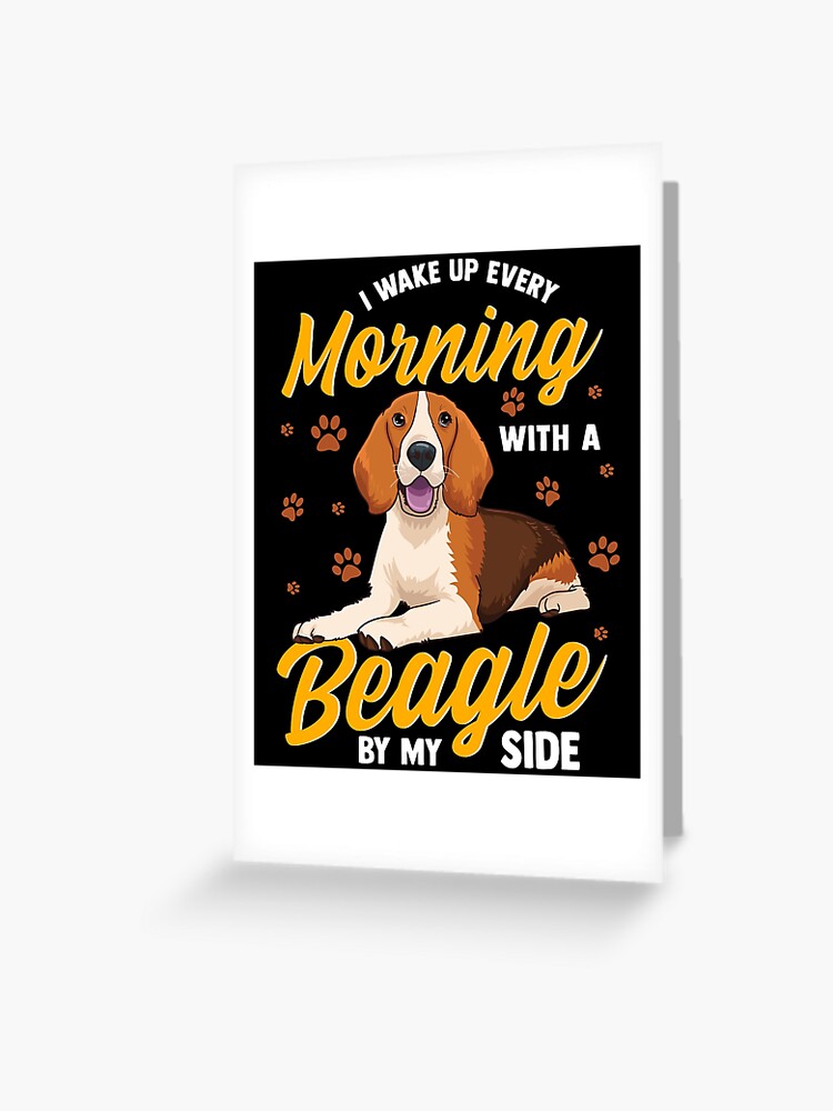 Beagle dog shop near me best sale