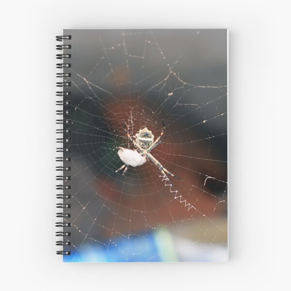 Item preview, Orb Weaver Spider With Prey designed and sold by rhamm.