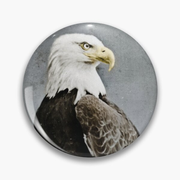 Item preview, Old Abe (1861-1881) War Eagle designed and sold by billduncan.