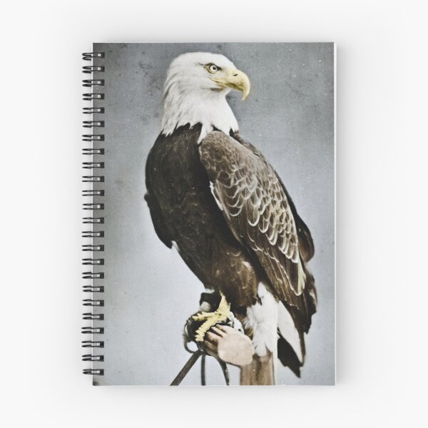 Item preview, Old Abe (1861-1881) War Eagle designed and sold by billduncan.