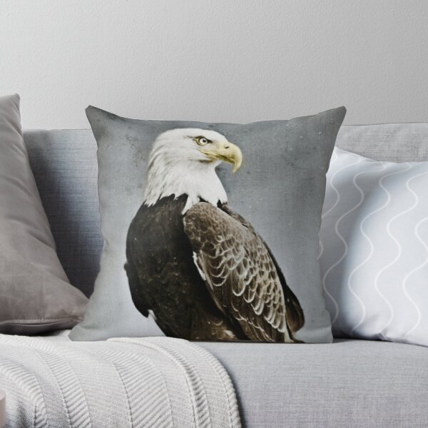War Eagle Pillows & Cushions for Sale