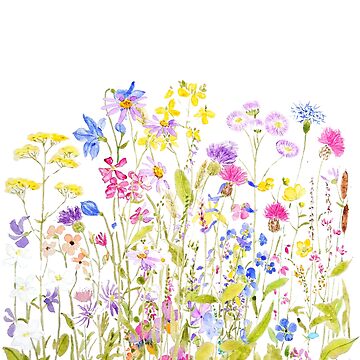 North American Wildflowers Watercolor Clipart Flowers of 