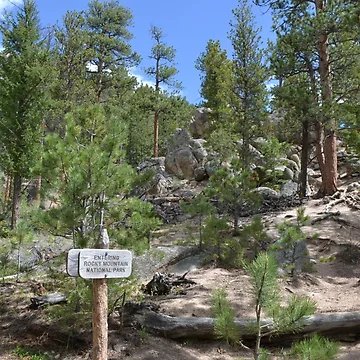 Artwork thumbnail, Lumpy Ridge's RMNP by Amanda Huggins