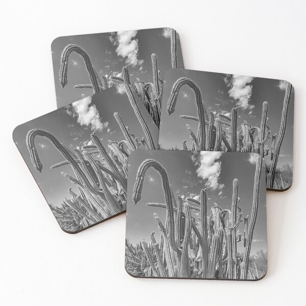 Item preview, Phoenix Cactus designed and sold by Elisabeth Lucas.