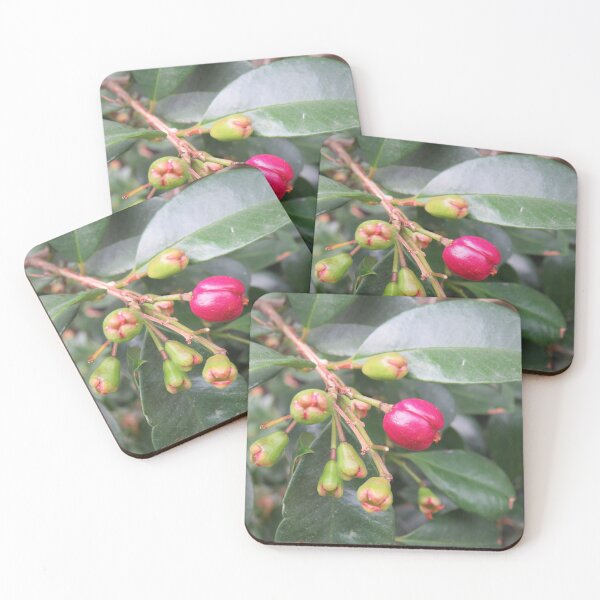 Item preview, Lilly pilly fruits designed and sold by greentiger1.
