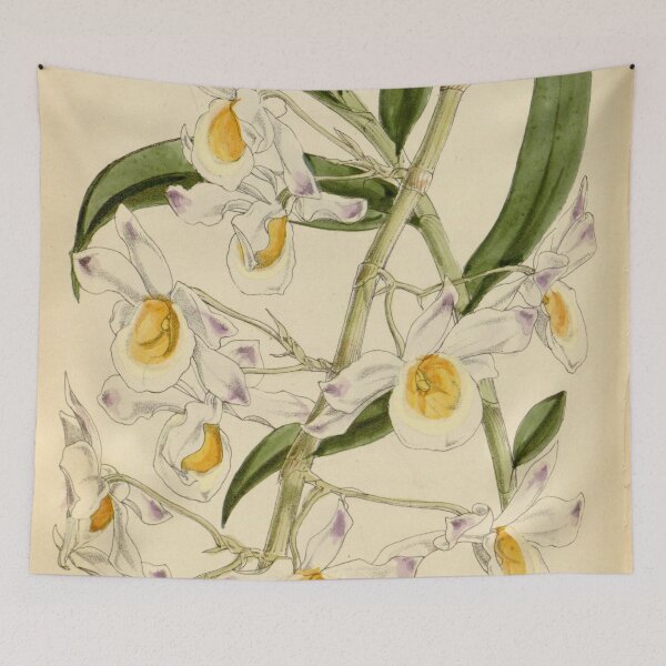 Item preview, Dendrobium crystallinum designed and sold by EsotericBotanic.