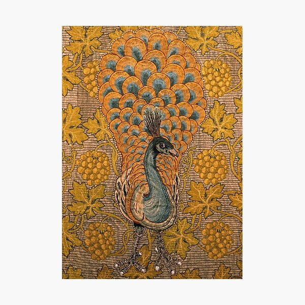 Peacock And Vine Detail, William Morris And Philip Webb Photographic Print