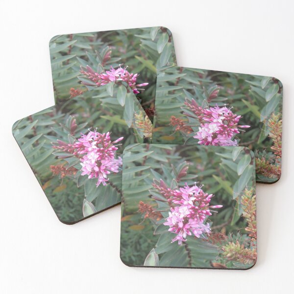 Item preview, Small hebe flowers designed and sold by greentiger1.