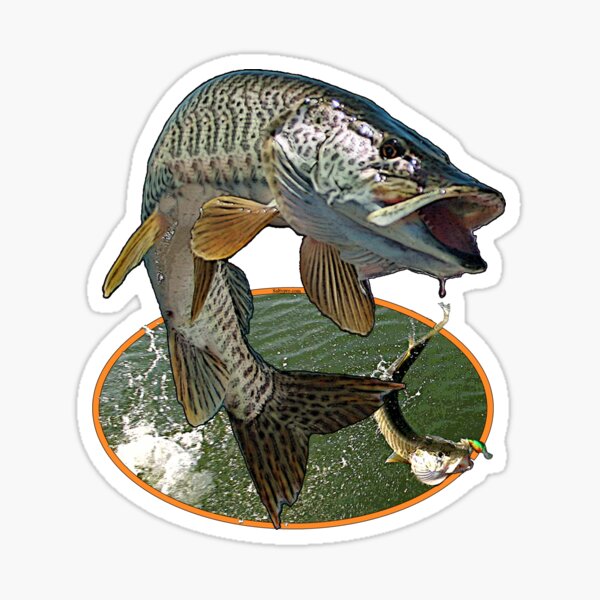 Fishermen Fishing Sticker