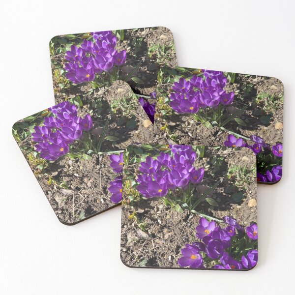 Item preview,  Spring flowers, walk, nature designed and sold by Sternchen2789.