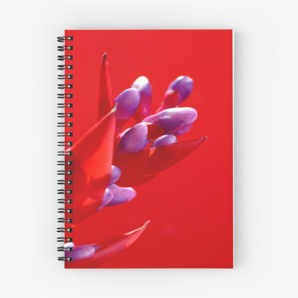Item preview, Bromelia en rojo designed and sold by rom01.
