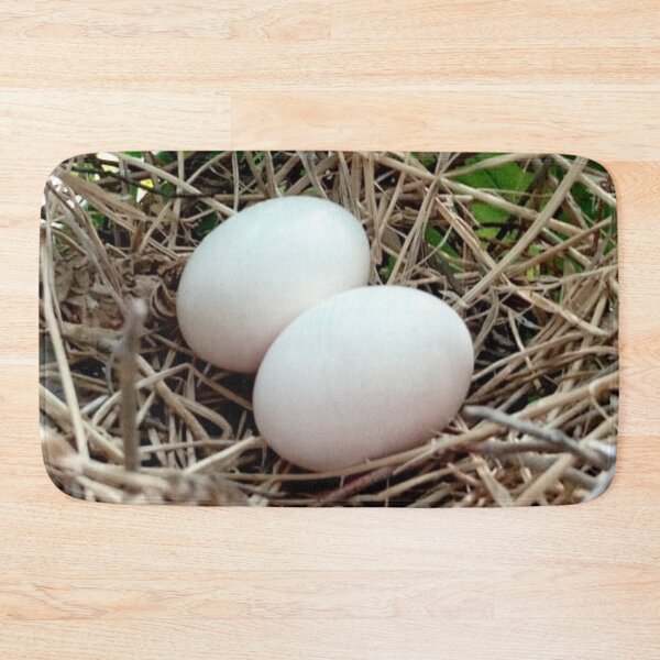 Item preview, Egg Nest designed and sold by igeorgia.