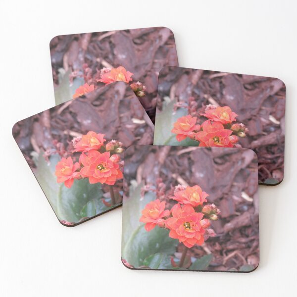 Item preview, Red kalanchoe flowers designed and sold by greentiger1.