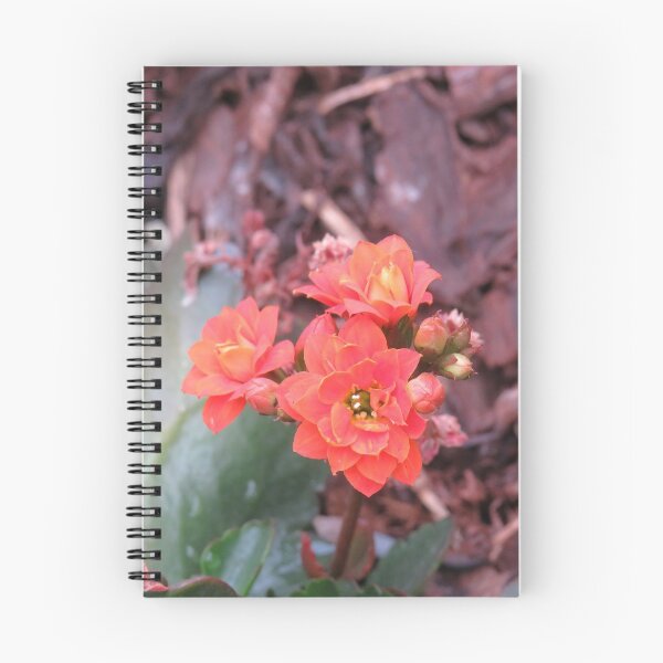 Item preview, Red kalanchoe flowers designed and sold by greentiger1.