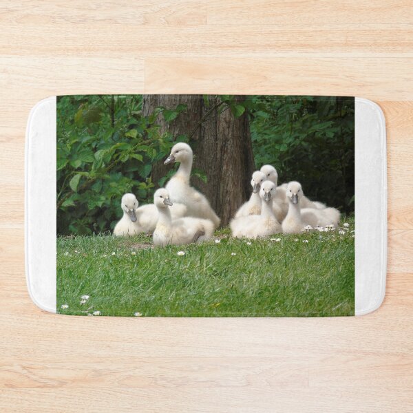 Item preview, Lovely cygnets designed and sold by Anita van Gendt.