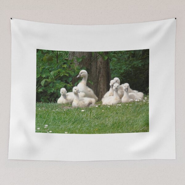 Item preview, Lovely cygnets designed and sold by Anita van Gendt.