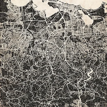 Vorschaubild zum Design Bayamón map Puerto Rico Ink lines 2 von InkMaps