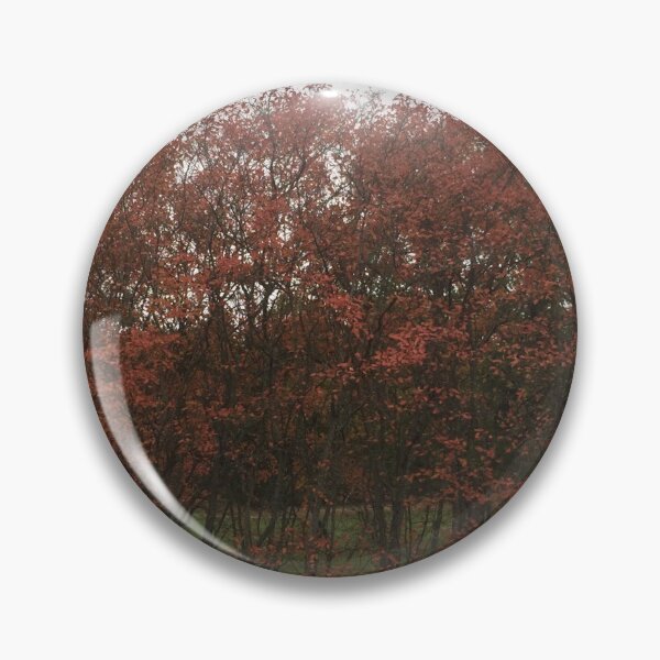 Item preview, Autumn in Sweden II designed and sold by jseagull91.