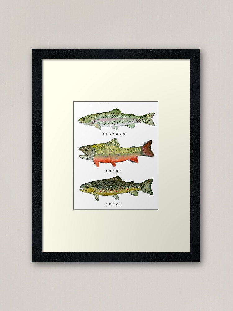 Elk Caddis Wild Brown Trout  Framed Art Print for Sale by fishweardesigns