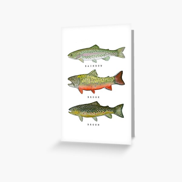 Fly Fishing Greeting Cards for Sale