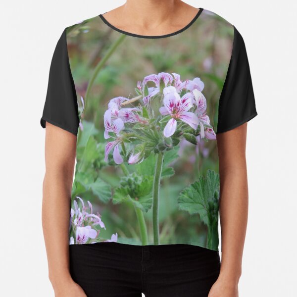 Pelargonium, Geraniums, Birra Messina, Sicily, Flowers pot Essential  T-Shirt for Sale by Sicilian-art