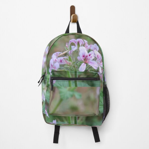 Item preview, Pelargonium australe designed and sold by greentiger1.