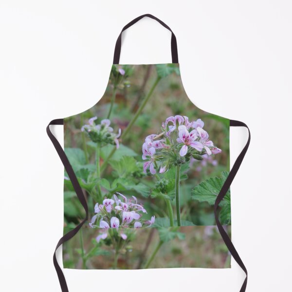 Item preview, Pelargonium australe designed and sold by greentiger1.