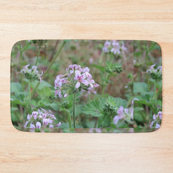Item preview, Pelargonium australe designed and sold by greentiger1.