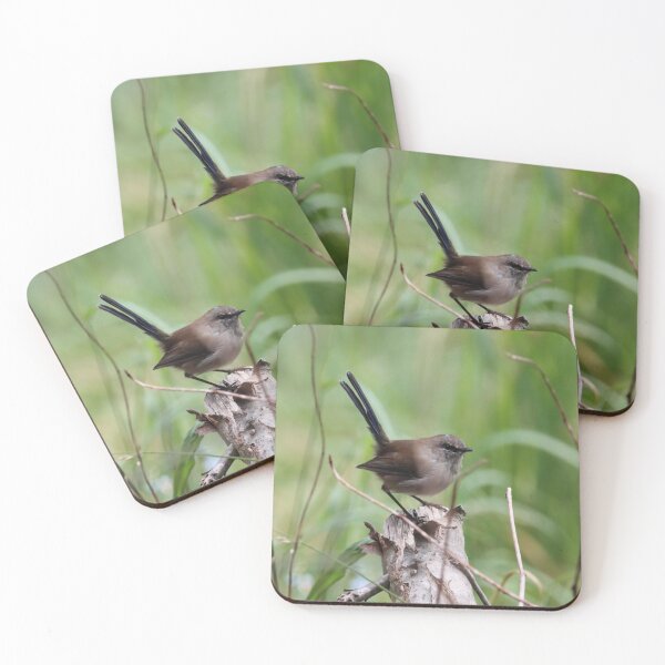 Item preview, Scrub Wren designed and sold by Simon  King.