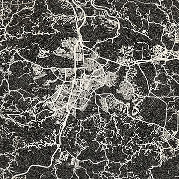 Aperçu de l'œuvre Caguas map Puerto Rico Ink lines de InkMaps