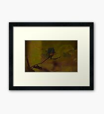 Happiness Framed Print