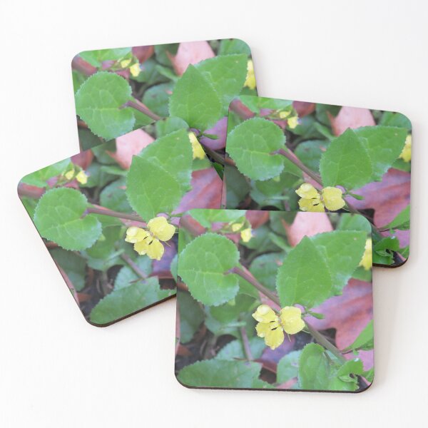 Item preview, Hop goodenia designed and sold by greentiger1.